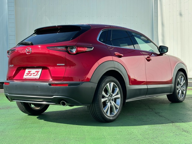 ＣＸ－３０