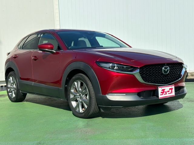 ＣＸ－３０