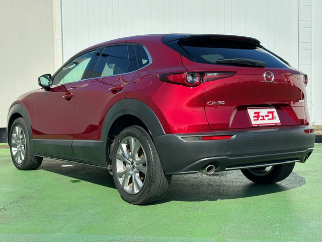 ＣＸ－３０