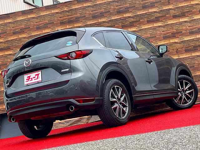 ＣＸ－５