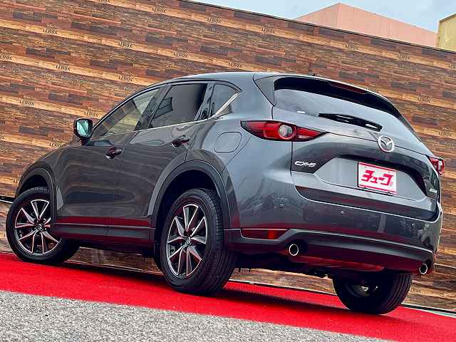 ＣＸ－５