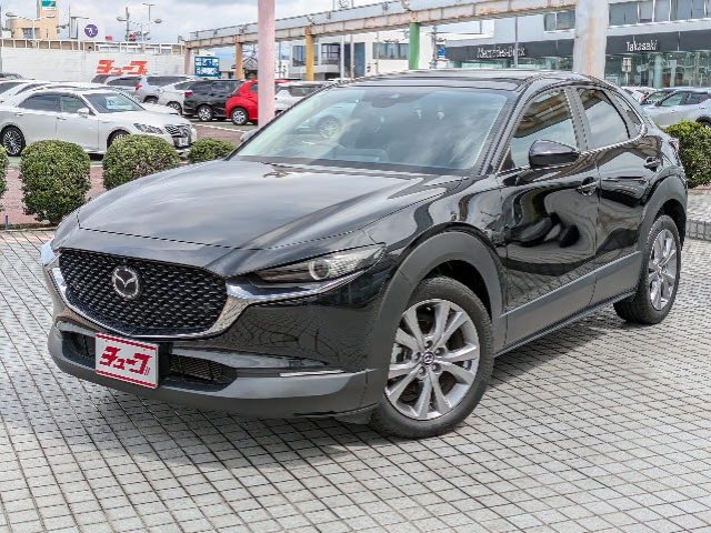 ＣＸ－３０