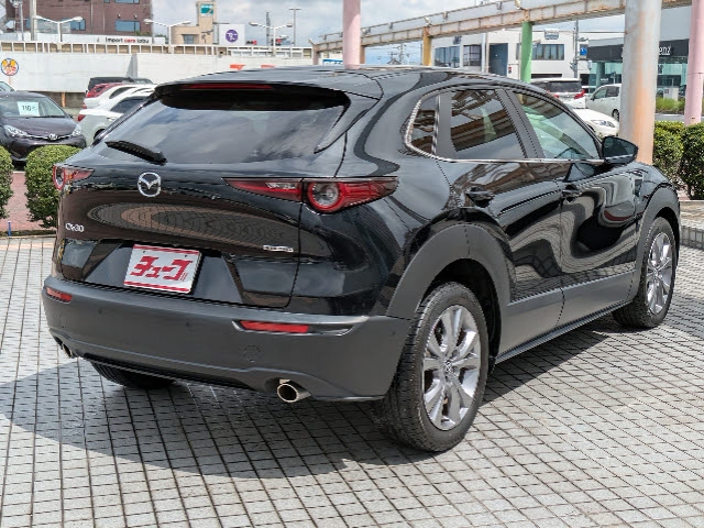 ＣＸ－３０