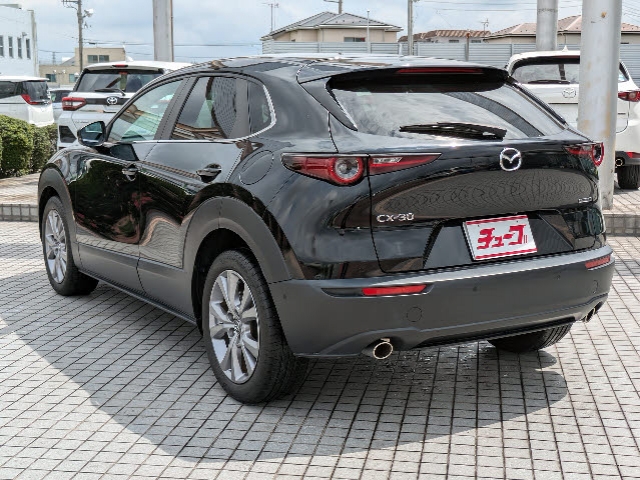 ＣＸ－３０