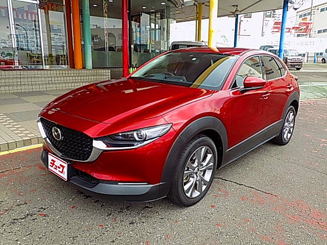 ＣＸ－３０