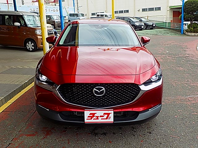 ＣＸ－３０