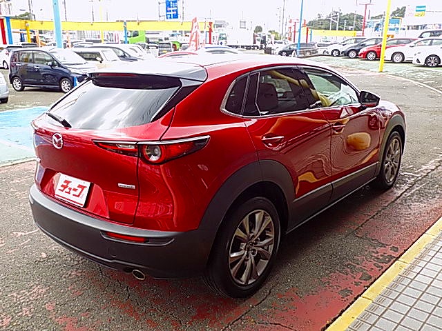 ＣＸ－３０