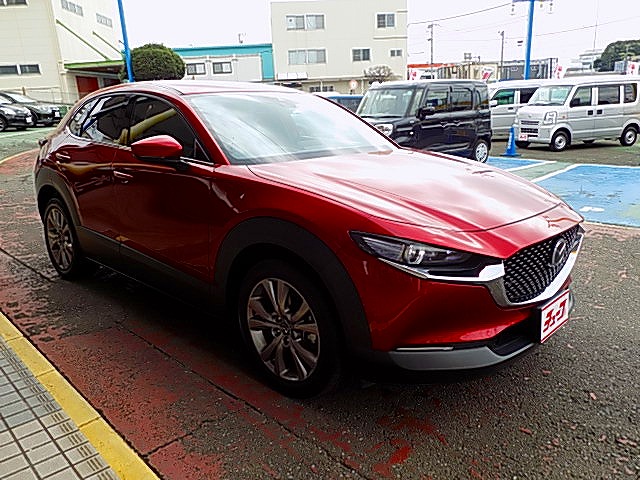 ＣＸ－３０