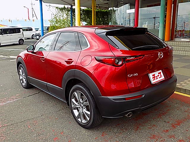 ＣＸ－３０