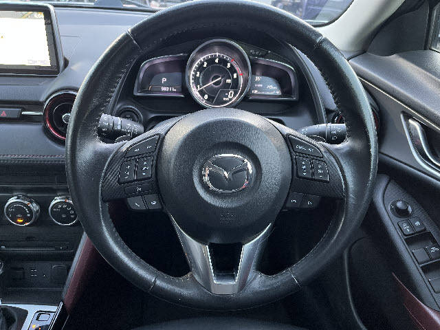ＣＸ－３