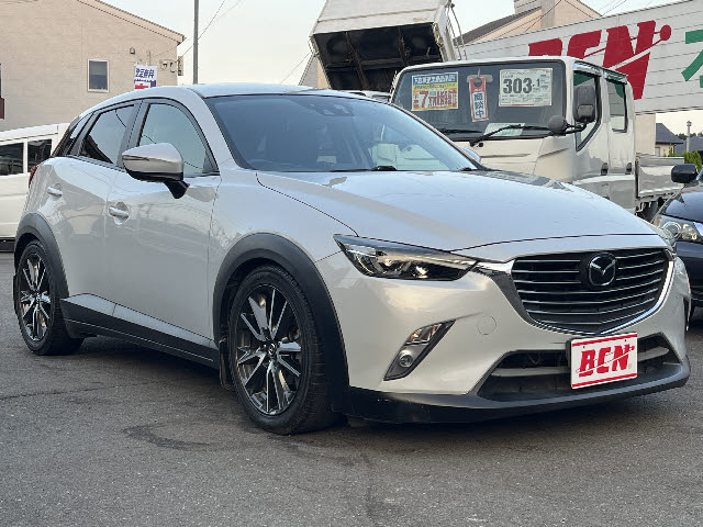 ＣＸ－３