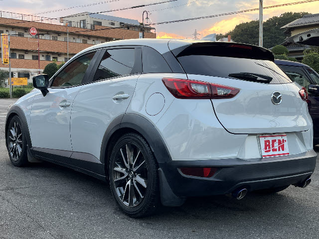 ＣＸ－３