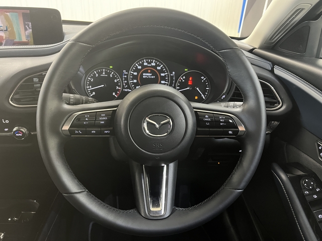 ＣＸ－３０