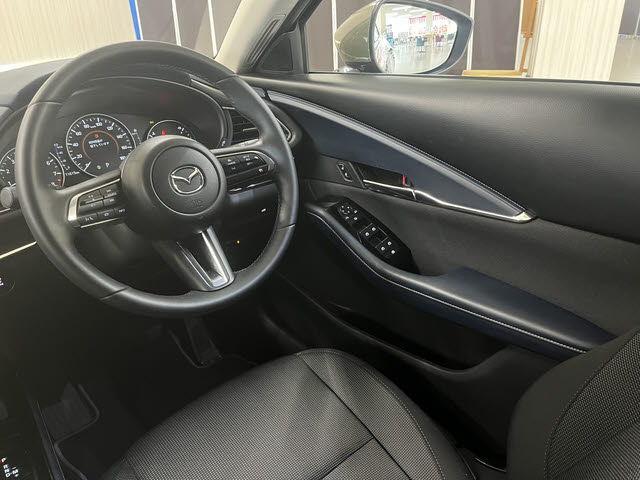 ＣＸ－３０