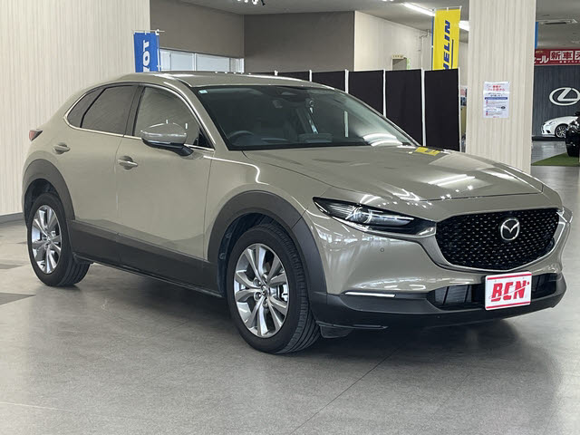ＣＸ－３０