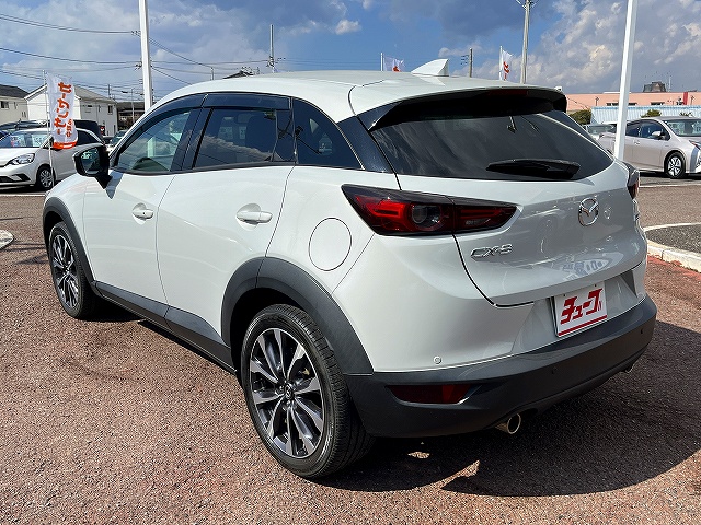 ＣＸ－３