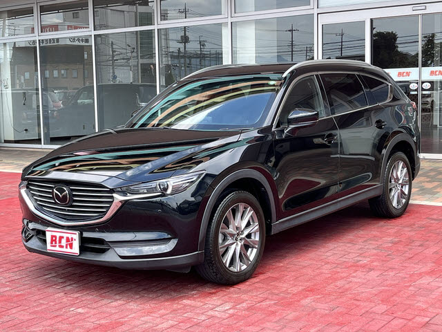 ＣＸ－８