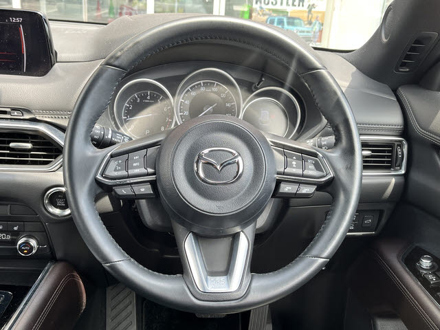 ＣＸ－８