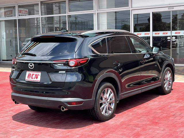 ＣＸ－８