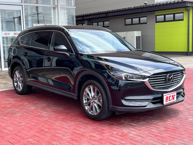 ＣＸ－８