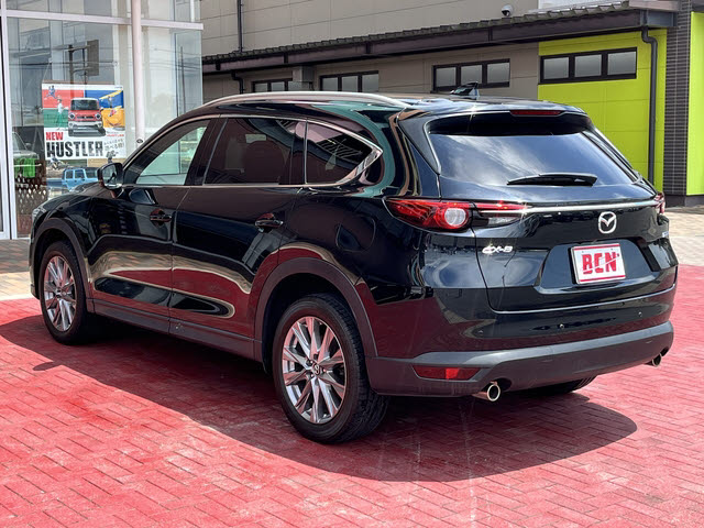ＣＸ－８