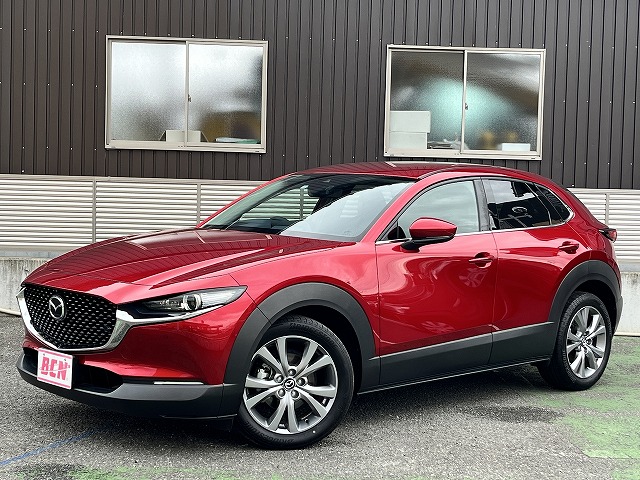 ＣＸ－３０