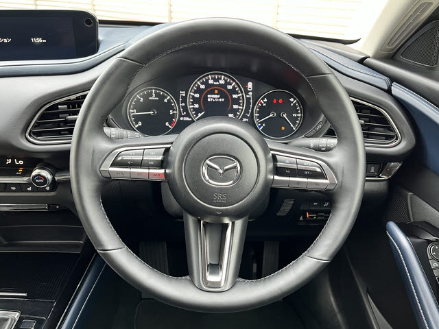 ＣＸ－３０