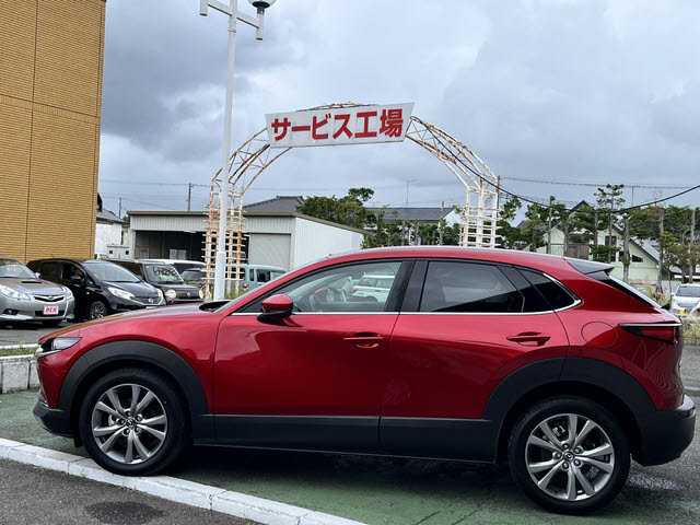 ＣＸ－３０