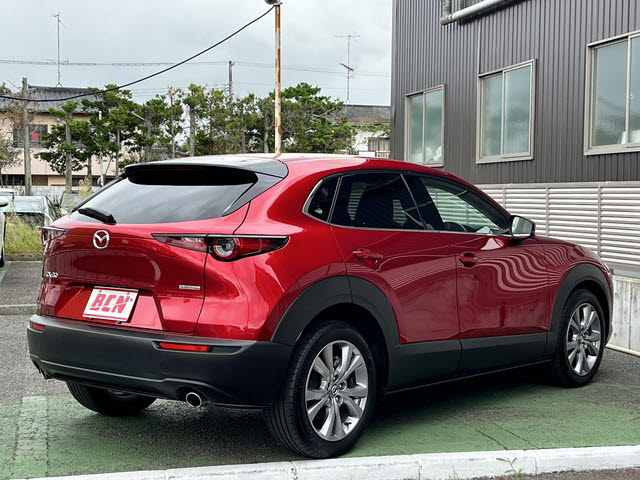 ＣＸ－３０