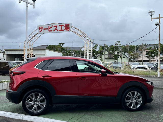 ＣＸ－３０