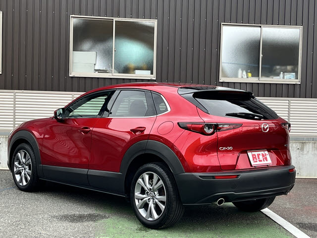 ＣＸ－３０