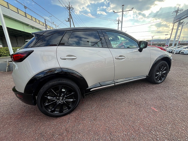 ＣＸ－３