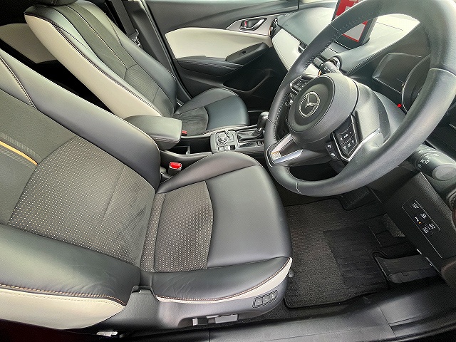 ＣＸ－３