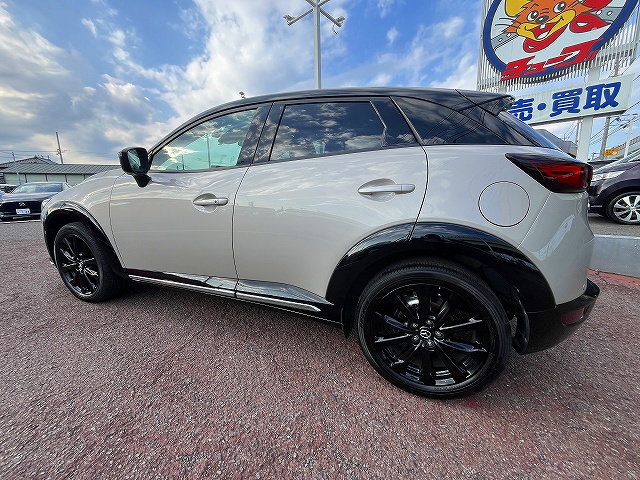 ＣＸ－３