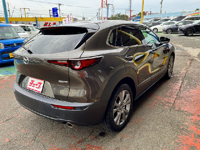 CX-30