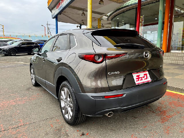 CX-30