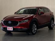 ＣＸ－３０…