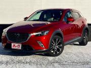 ＣＸ－３…