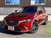 ＣＸ－３