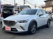 ＣＸ－３