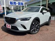 ＣＸ－３