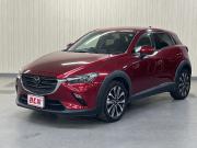 ＣＸ－３