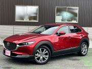 ＣＸ－３０