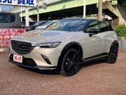 ＣＸ－３